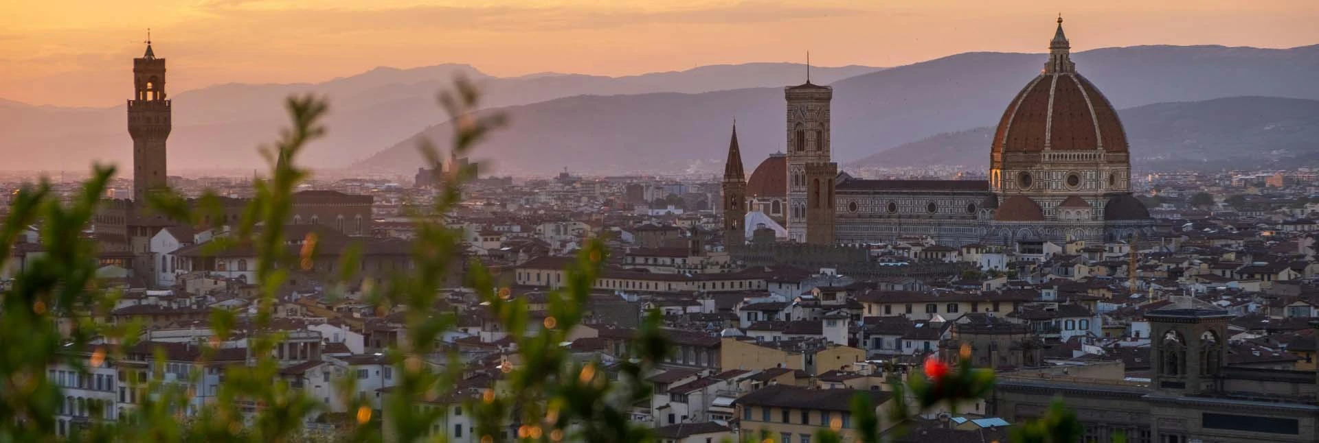 A tour of the Gallery of the Academy of Florence