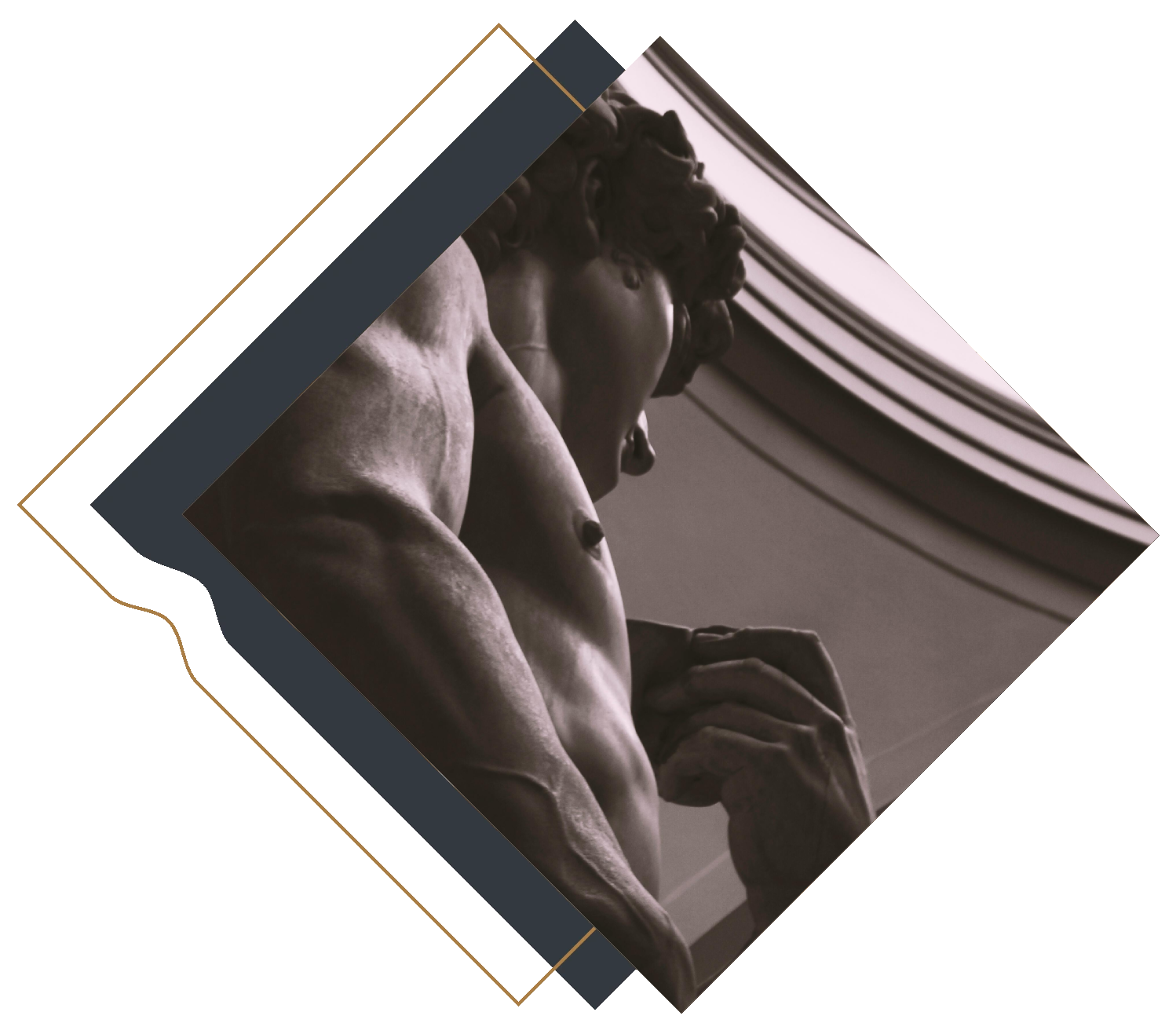 Guided visit to the Gallery of the Academy