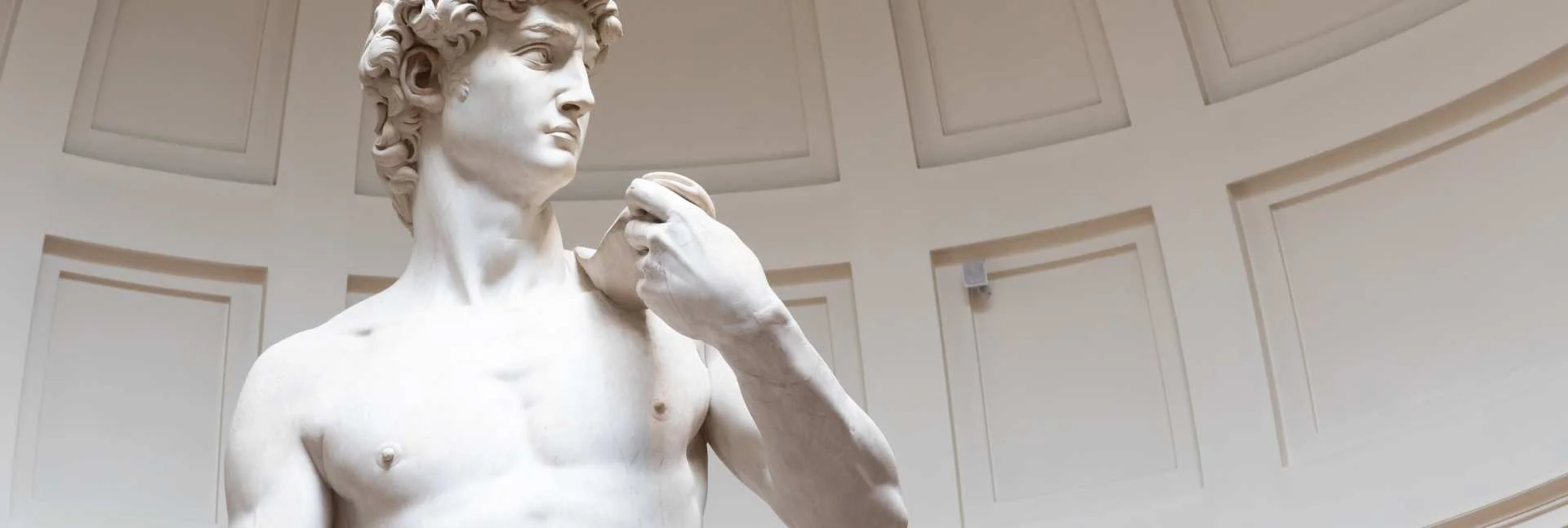 Prepare for a guided tour of the Gallery of the Academy